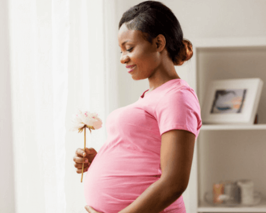 birth Parent Services