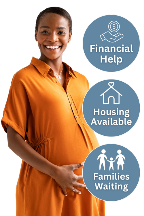 Birth parent seeking adoption